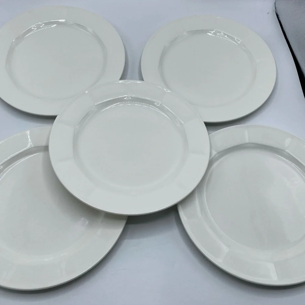 Villeroy & Boch Luxembourg 0161 Geo White Paneled Rim 5 Plates 9.5